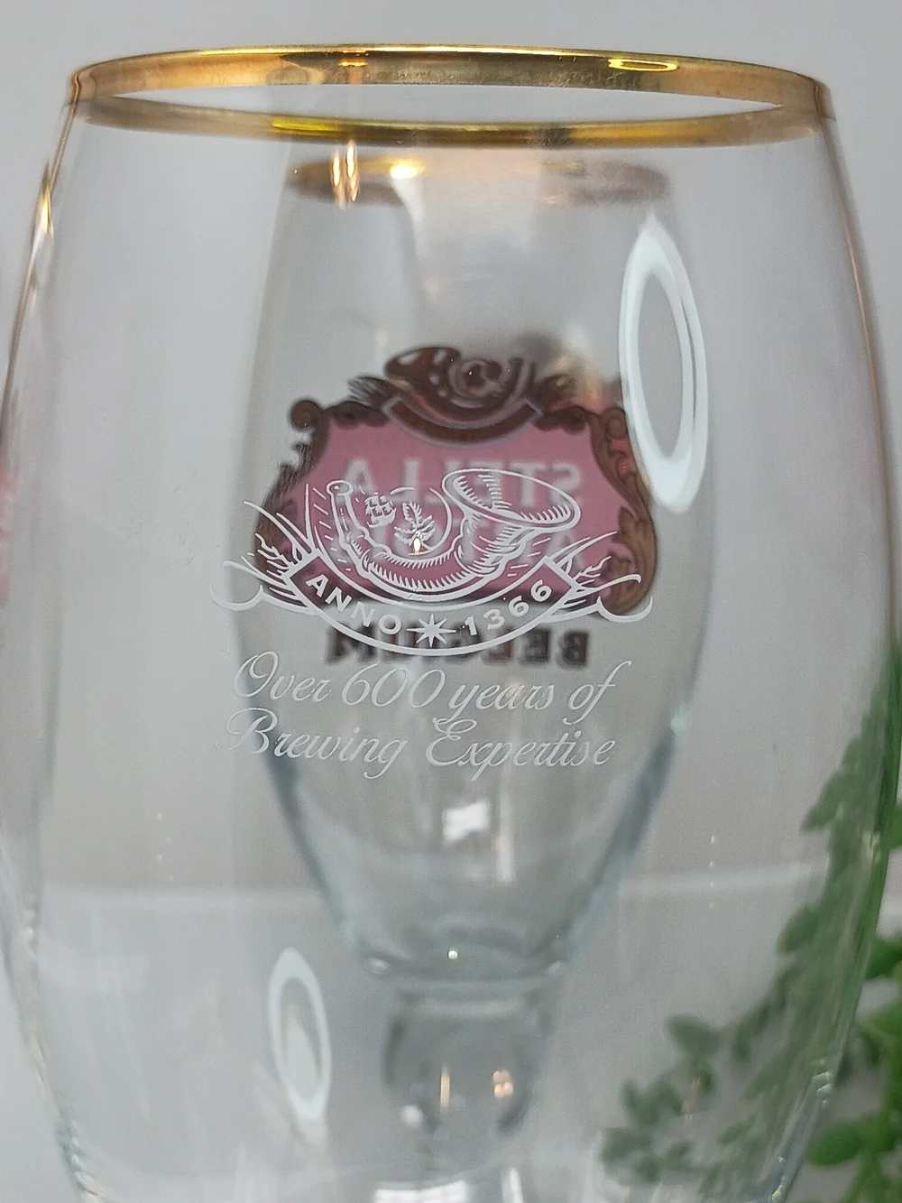 Stella Artois Belgium Gold Rim Beer Glasses - Clear with Gold Trim